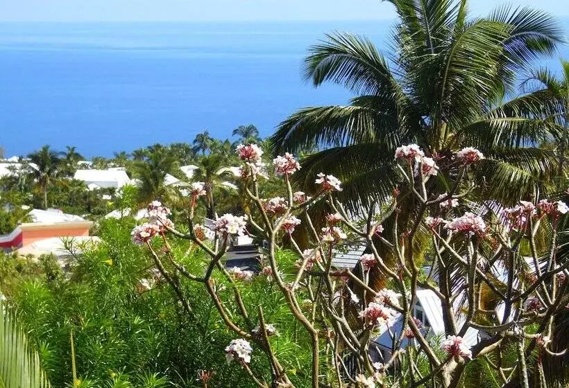 تختخواب و صبحانه La Kaz Nana Sakifo   Maison D Hotes