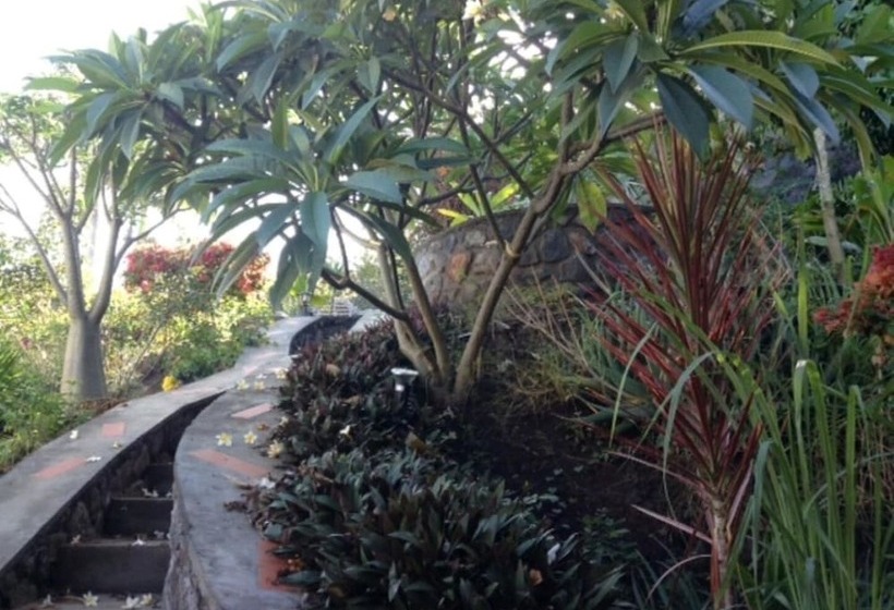 تختخواب و صبحانه La Kaz Nana Sakifo Maison D Hotes