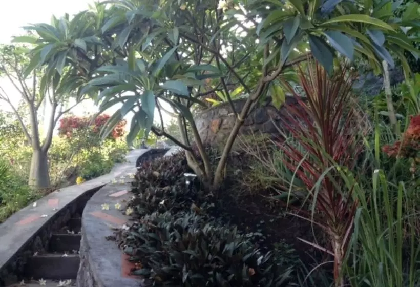 تختخواب و صبحانه La Kaz Nana Sakifo   Maison D Hotes