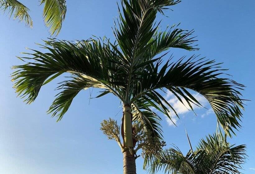 تختخواب و صبحانه La Kaz Nana Sakifo Maison D Hotes