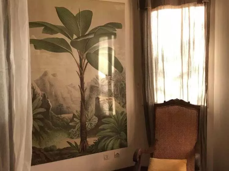 تختخواب و صبحانه La Kaz Nana Sakifo   Maison D Hotes