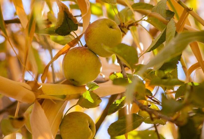 צימר Villa Pomme D'or