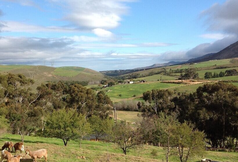 호텔 Swaynekloof Farm