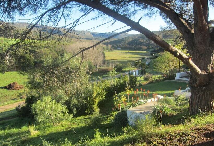 호텔 Swaynekloof Farm