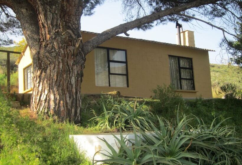 호텔 Swaynekloof Farm