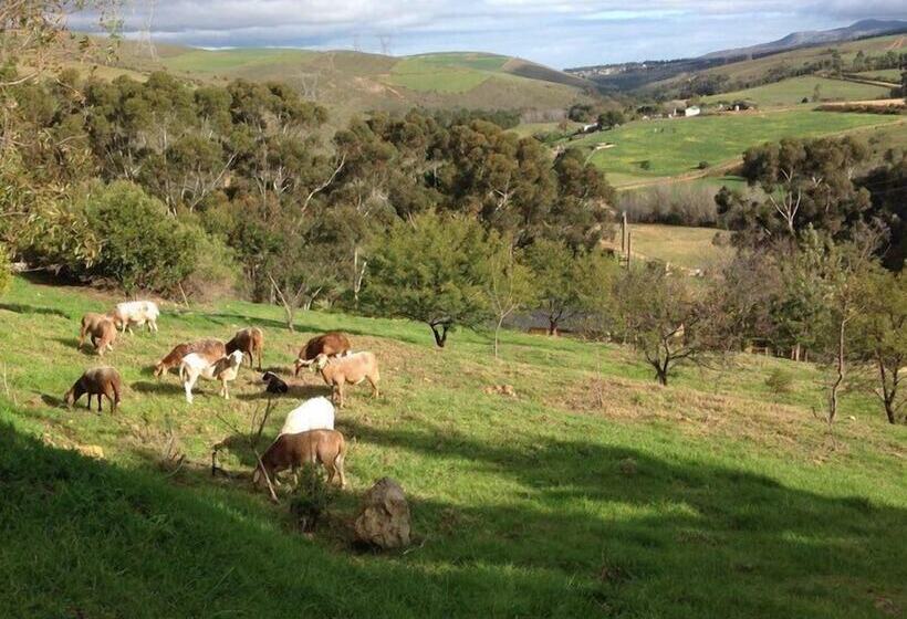 호텔 Swaynekloof Farm
