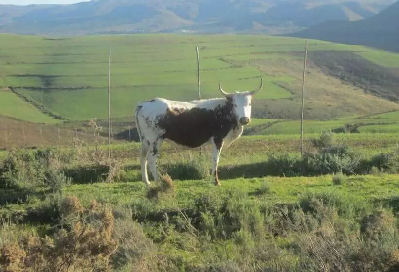 Hotelli Swaynekloof Farm