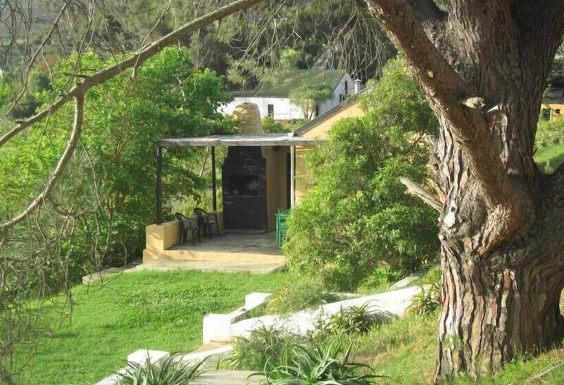 호텔 Swaynekloof Farm