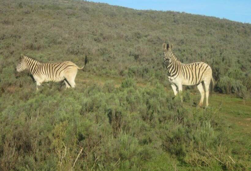 호텔 Swaynekloof Farm