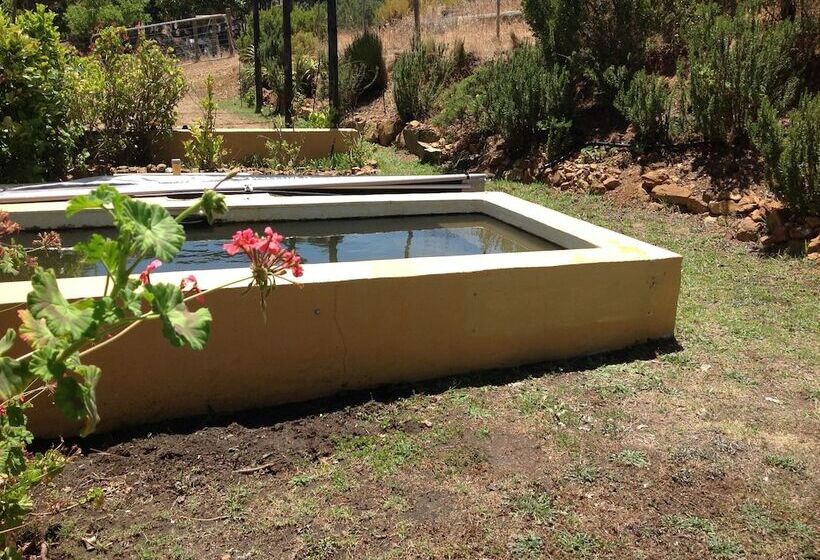 호텔 Swaynekloof Farm