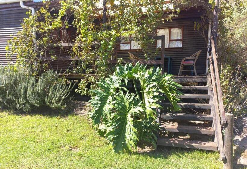 호텔 Swaynekloof Farm