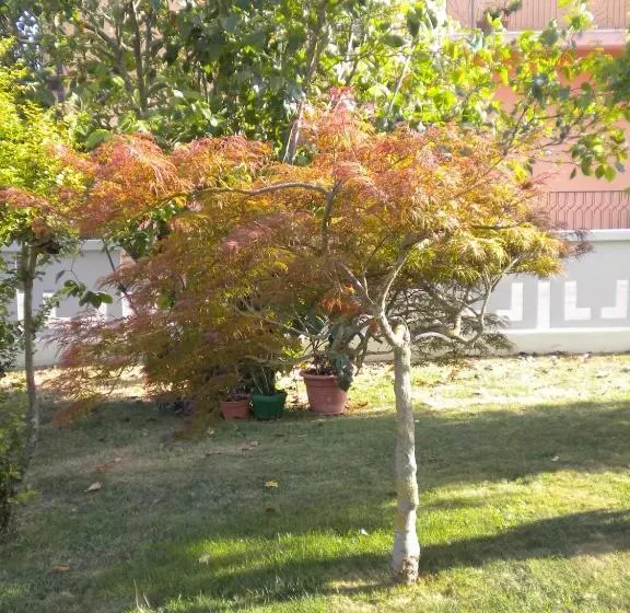 Aamiaismajoitus (B&B) Civico 493 B'n'b