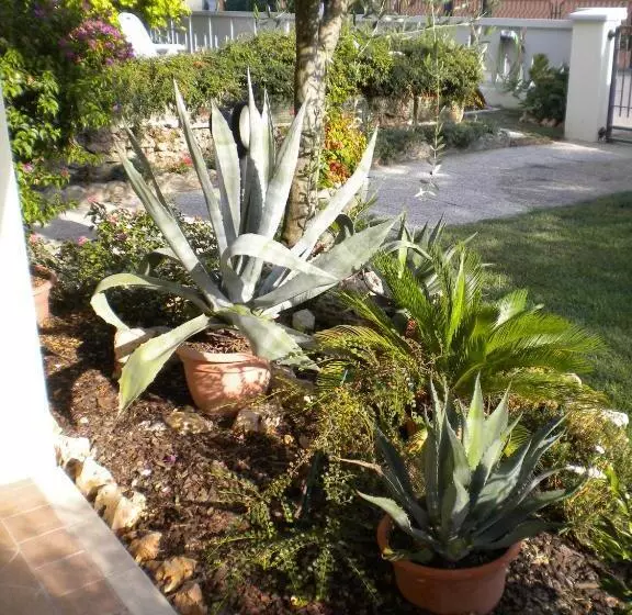 Aamiaismajoitus (B&B) Civico 493 B'n'b