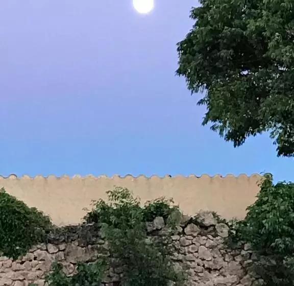 ベッドアンドブレックファースト Domaine Du Clos D Alari Chambres D Hôtes Au Milieu Des Vignes