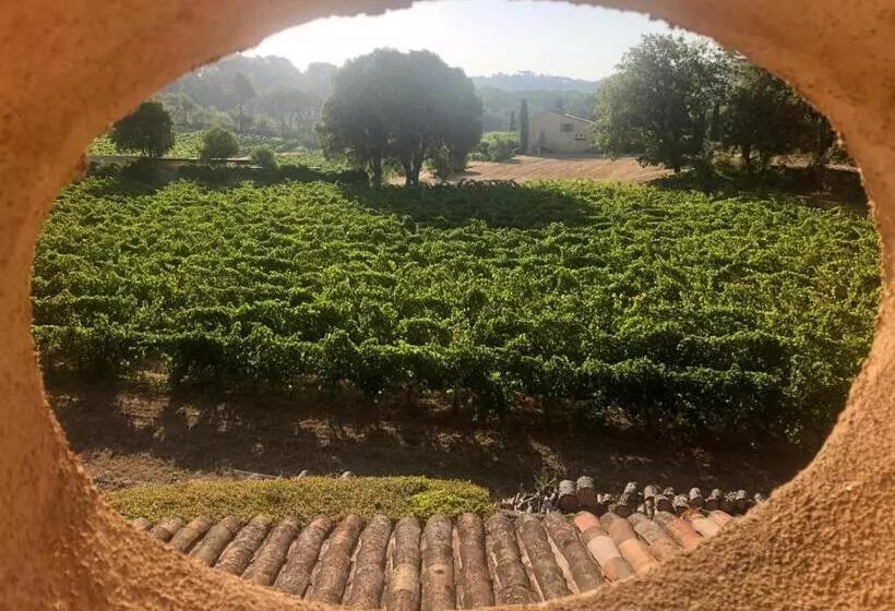 ベッドアンドブレックファースト Domaine Du Clos D Alari Chambres D Hôtes Au Milieu Des Vignes