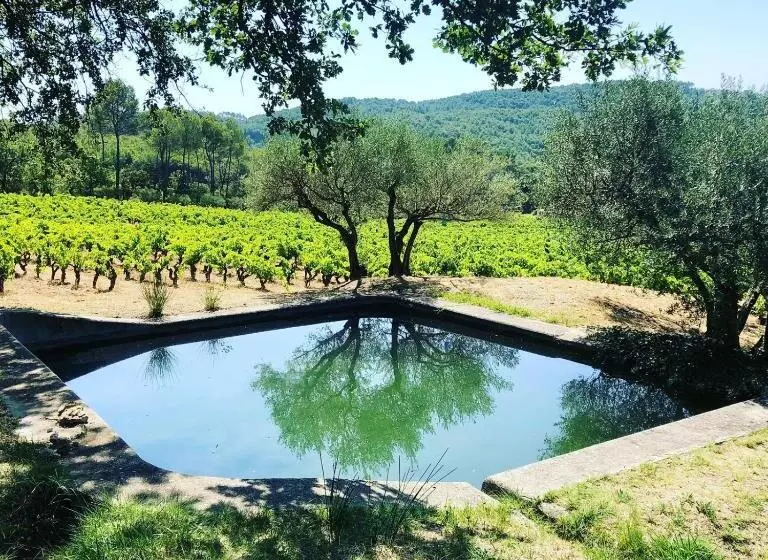 ベッドアンドブレックファースト Domaine Du Clos D Alari Chambres D Hôtes Au Milieu Des Vignes