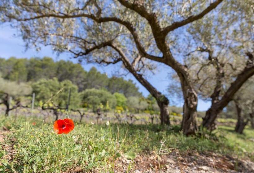 ベッドアンドブレックファースト Domaine Du Clos D Alari Chambres D Hôtes Au Milieu Des Vignes