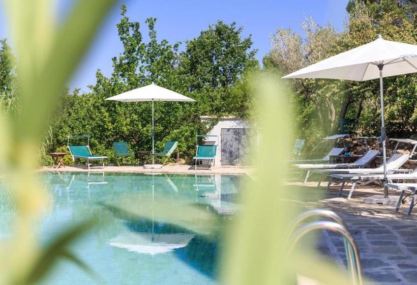 ベッドアンドブレックファースト Domaine Du Clos D Alari Chambres D Hôtes Au Milieu Des Vignes