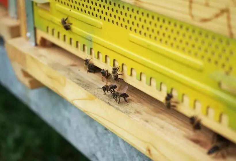 ベッドアンドブレックファースト La Sloda