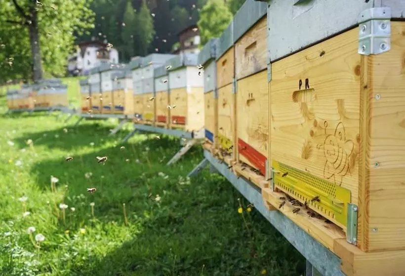 ベッドアンドブレックファースト La Sloda