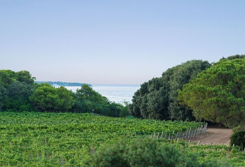 فندق Masseria Mongio Dell Elefante