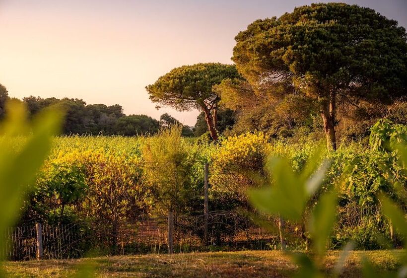 فندق Masseria Mongio Dell Elefante