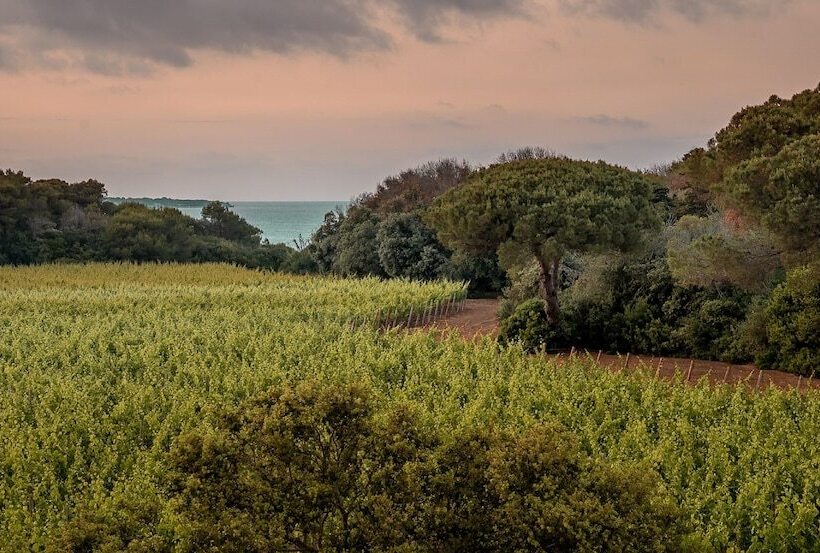 فندق Masseria Mongio Dell Elefante
