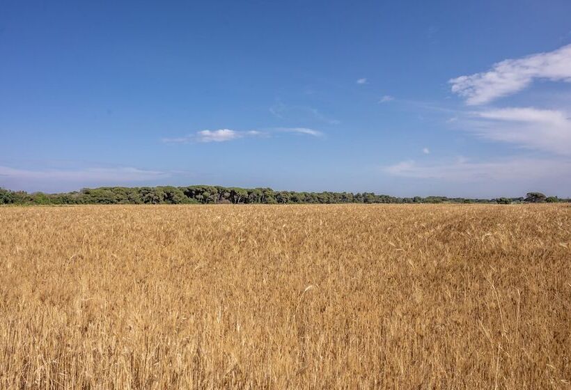 فندق Masseria Mongio Dell Elefante