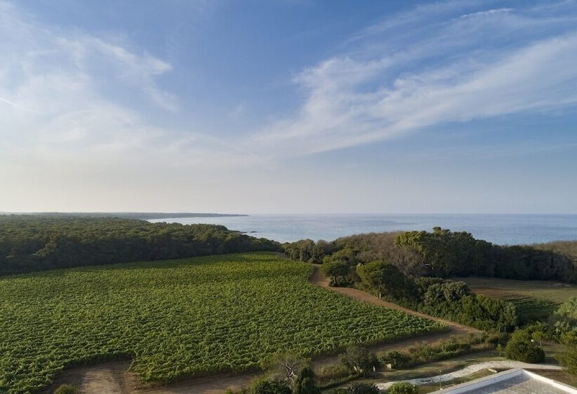 فندق Masseria Mongio Dell Elefante