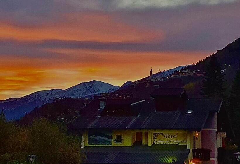 Отель Veduta Dell'adamello