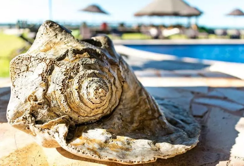 ホテル Vila Vagalume