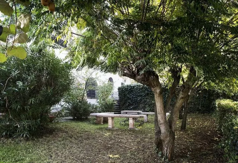 Il Pettirosso B&b