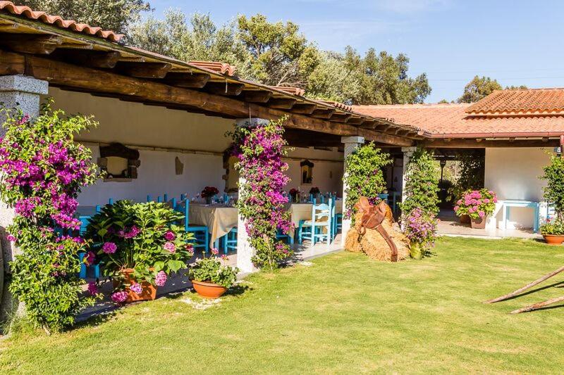 אתר נופש Piccolo Ranch