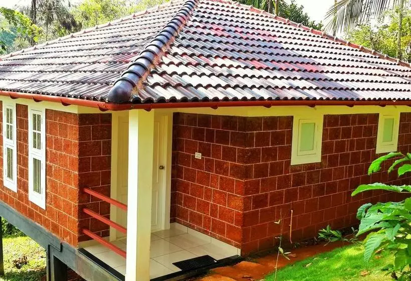 Wayanad Ranches Resorts