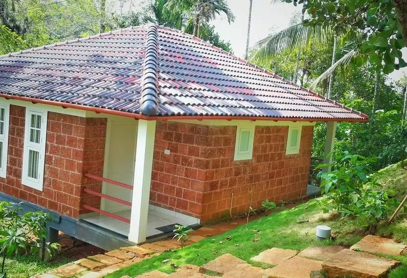 Wayanad Ranches Resorts