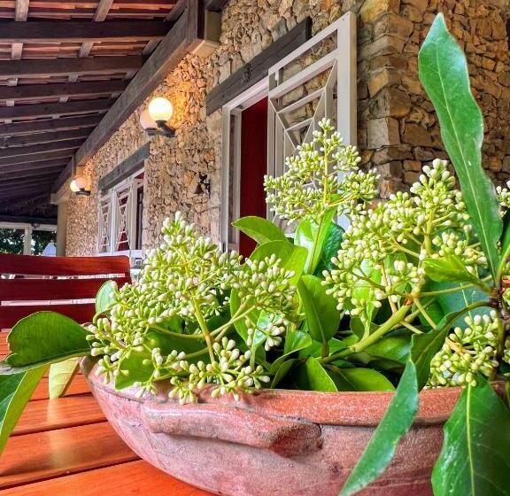 مبيت وإفطار All'ombra Del Palmeto