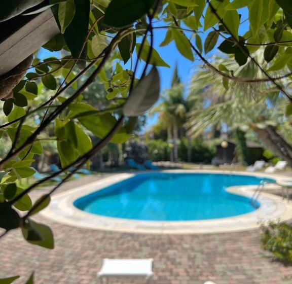 مبيت وإفطار All'ombra Del Palmeto