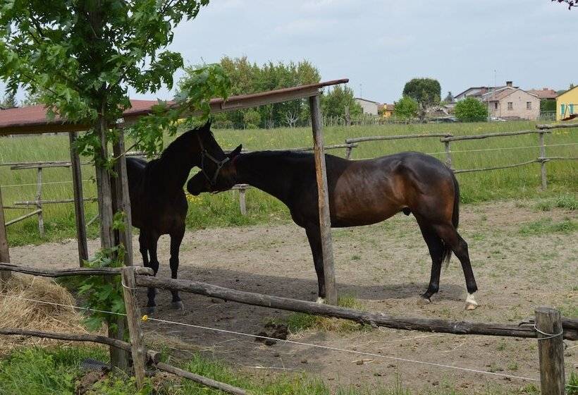 مبيت وإفطار Ca Gialla