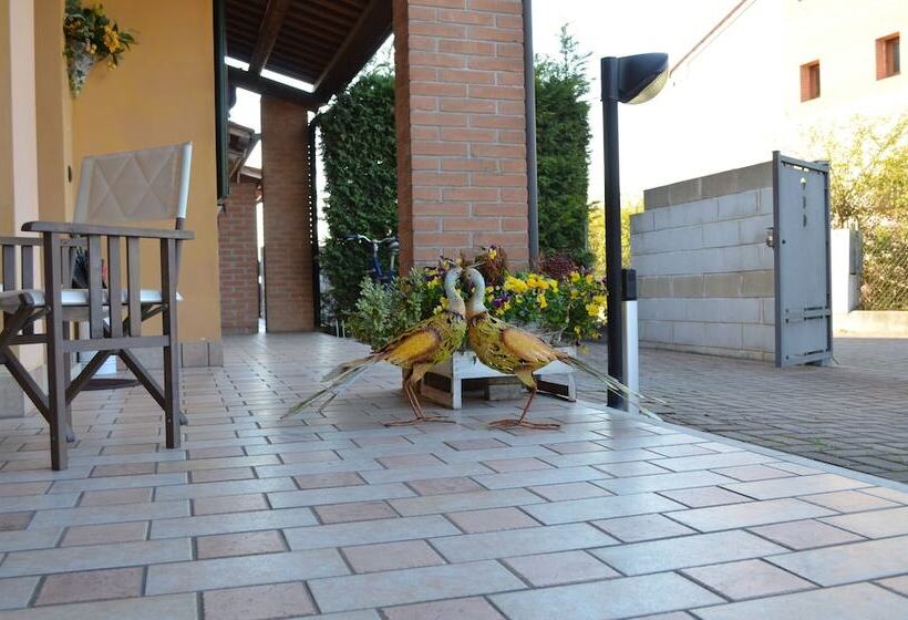 مبيت وإفطار Ca Gialla