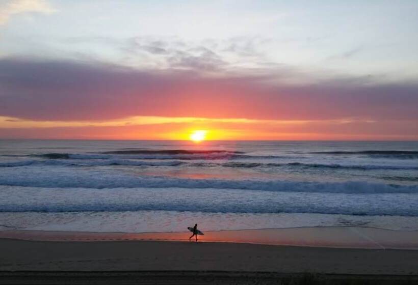 住宿加早餐 Château Belle Epoque Chambres D Hôtes & Gîtes