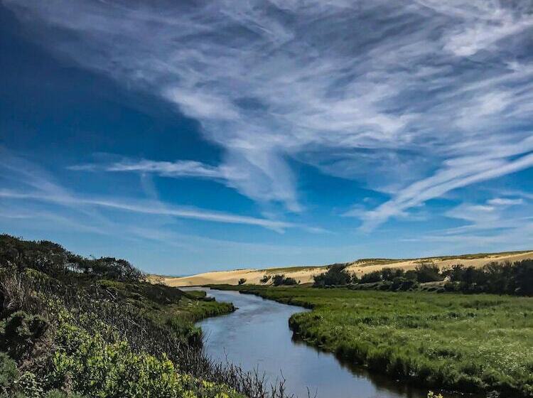 住宿加早餐 Château Belle Epoque Chambres D Hôtes & Gîtes