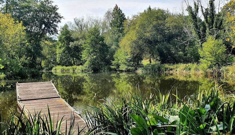 住宿加早餐 Château Belle Epoque Chambres D Hôtes & Gîtes
