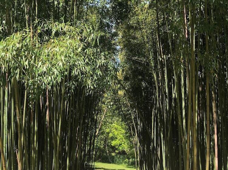 住宿加早餐 Château Belle Epoque Chambres D Hôtes & Gîtes