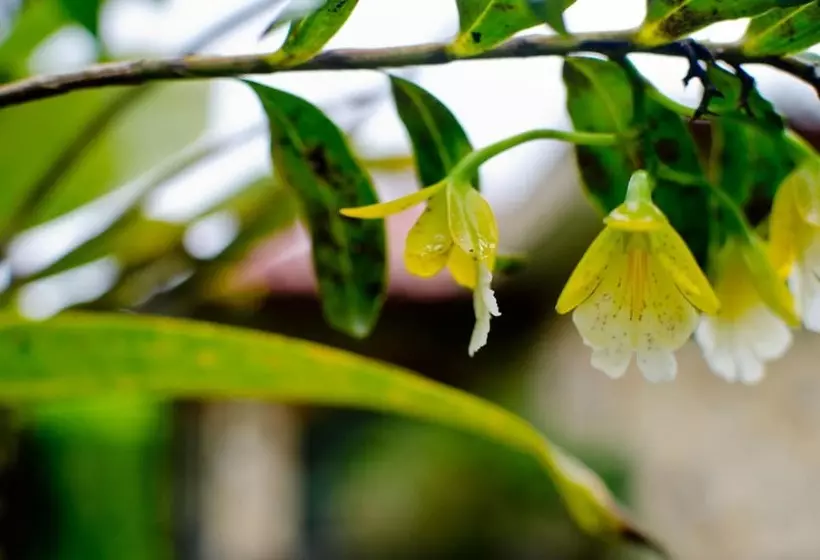 Aamiaismajoitus (B&B) Gingerbread Hotel And Restaurant