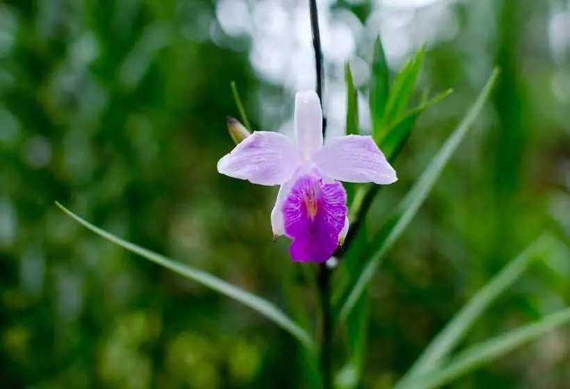 Aamiaismajoitus (B&B) Gingerbread Hotel And Restaurant