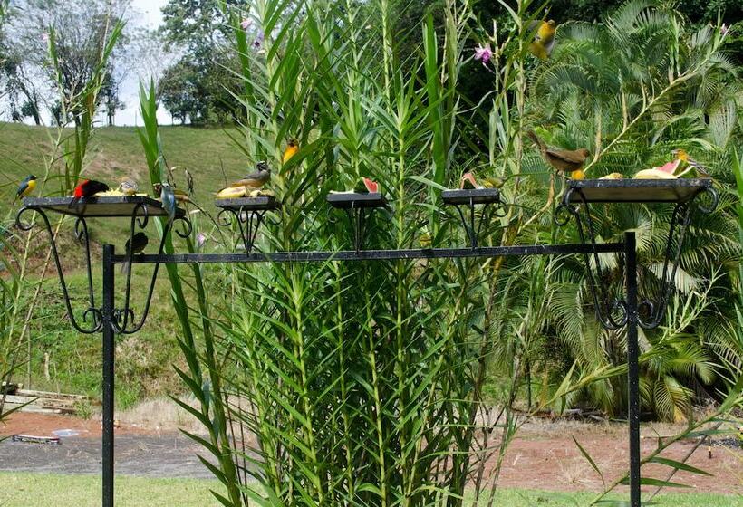 민박 Gingerbread Hotel And Restaurant