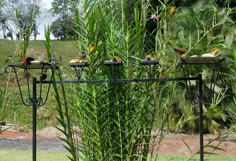 Aamiaismajoitus (B&B) Gingerbread Hotel And Restaurant