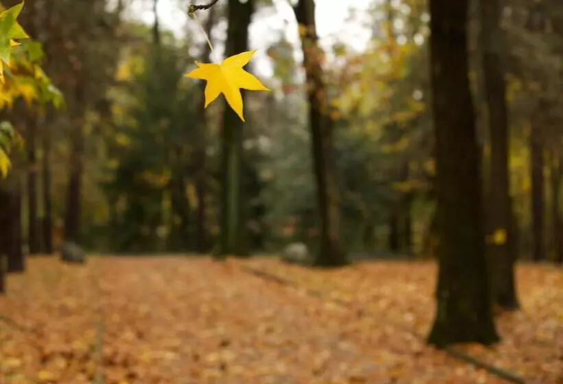 ベッドアンドブレックファースト Sant'anna