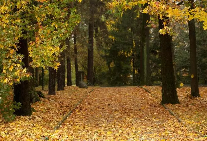 ベッドアンドブレックファースト Sant'anna