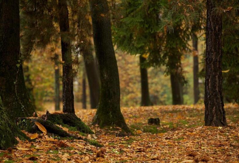 住宿加早餐 Sant'anna